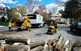 Best Tree Preservation Services  in Vandenberg Af, CA